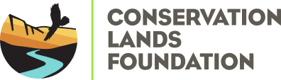 Conservation Lands Foundation logo it's a draw of some desert mountains, a cactus and a river